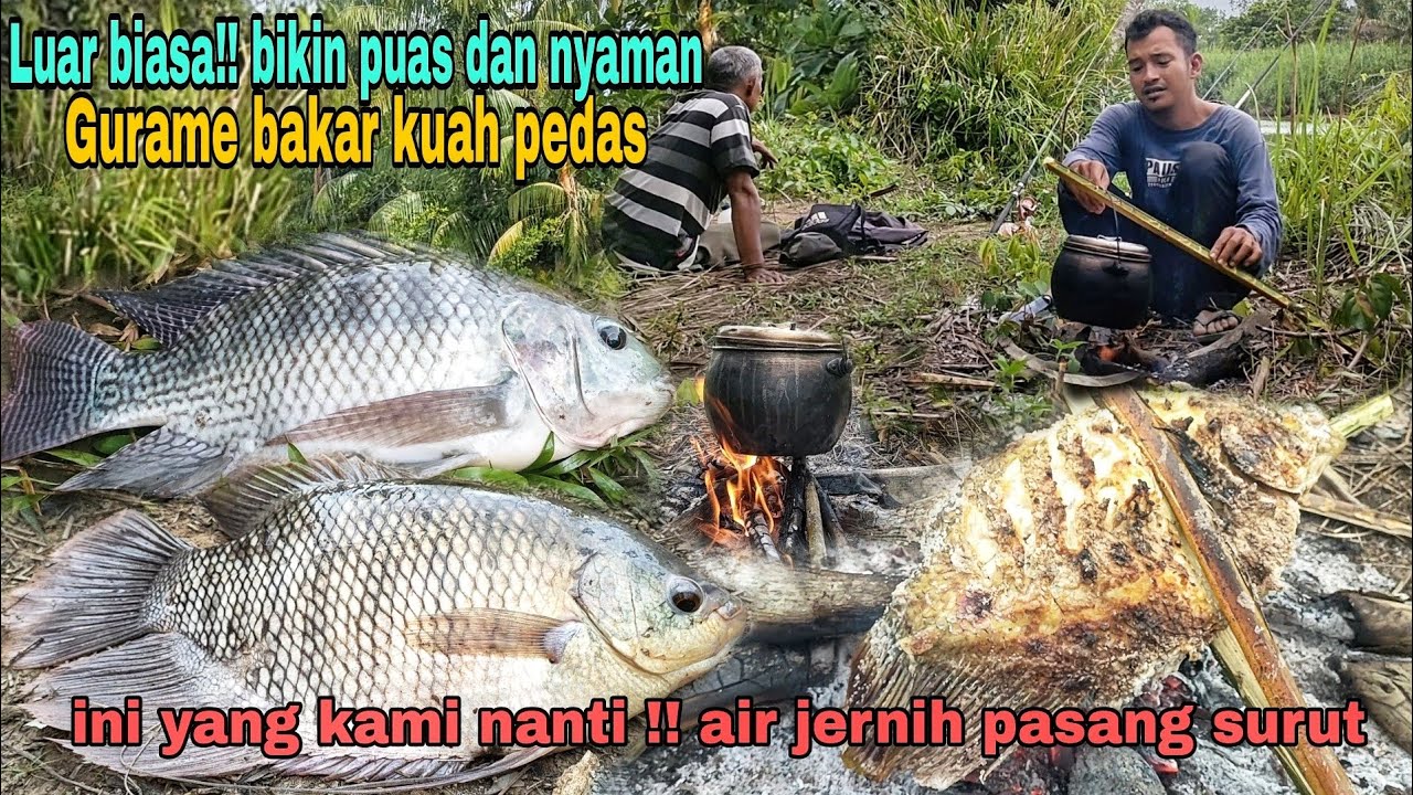 Luar biasa | bikin puas dan nyaman - gurame bakar kuah pedas