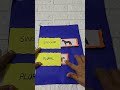 singular and plural #schoolactivity