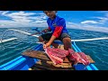 Walong Mamahaling Isda Ang Nasampa Ni Disay Hindi Naubos Ang Pamain | Catch &amp; Sell