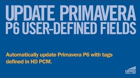 Update Primavera P6 User-Defined Fields