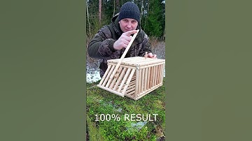 ATTENTION. STOP THE PESTS  #trap #survival #trapping