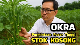‼️WHAT ARE YOU WAITING FOR? Hurry up and plant OKRA while not many people are planting it yet. ‼️...