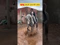 ماشاء الله تبارك الرحمان❤❤❤❤