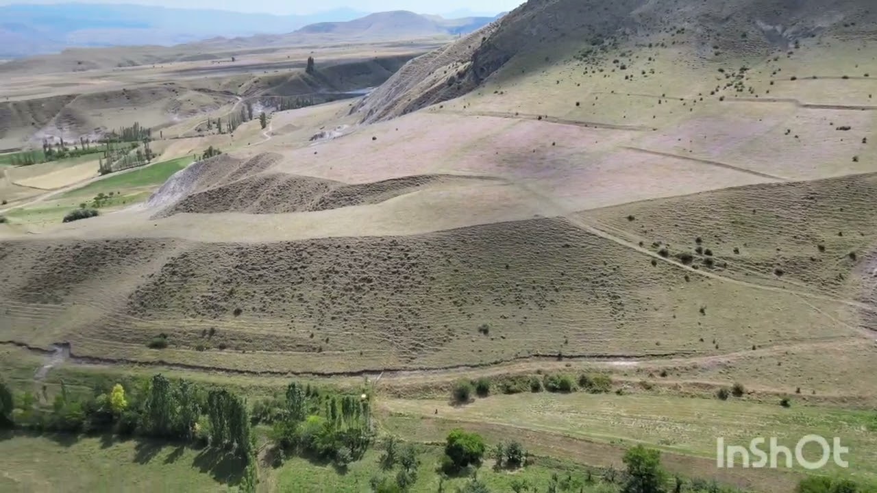 Narman Kuruçalı (VEYSOR)