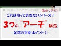 これは知っておきたいシリーズ！ ３つの “アーチ”構造、足部の重要ポイント（３）
