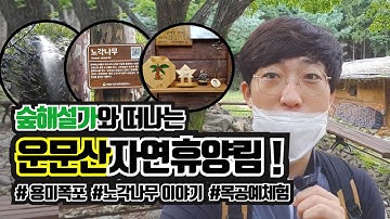 [운문산자연휴양림 #1] 계곡 물소리와 단풍이 아름다운 곳, 용미폭포와 노각나무 이야기, 경북 청도 힐링 여행지 추천