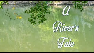 A River's Tale - Nolichucky