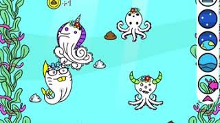 Octopus Evolution