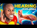 Understanding How Hearing Works