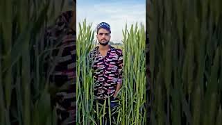 Ramzan ke roje Aaye Dil jhoom jhoom jaaye #subscribe  #islamicstoriesinurduandhindi #islam