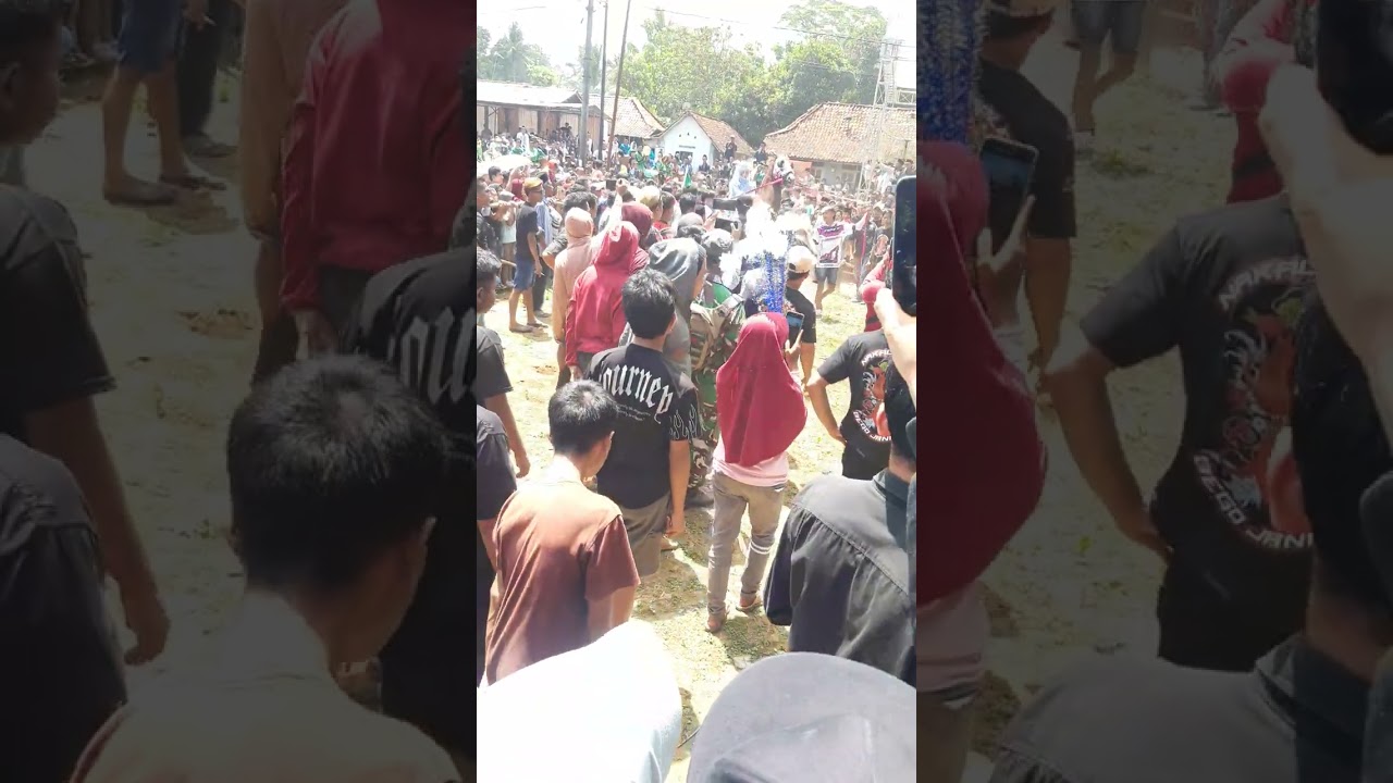 keseruan Arak arakan kuda, kuda jingkrak Desa Bringin kec. Bayan Kab. Purworejo