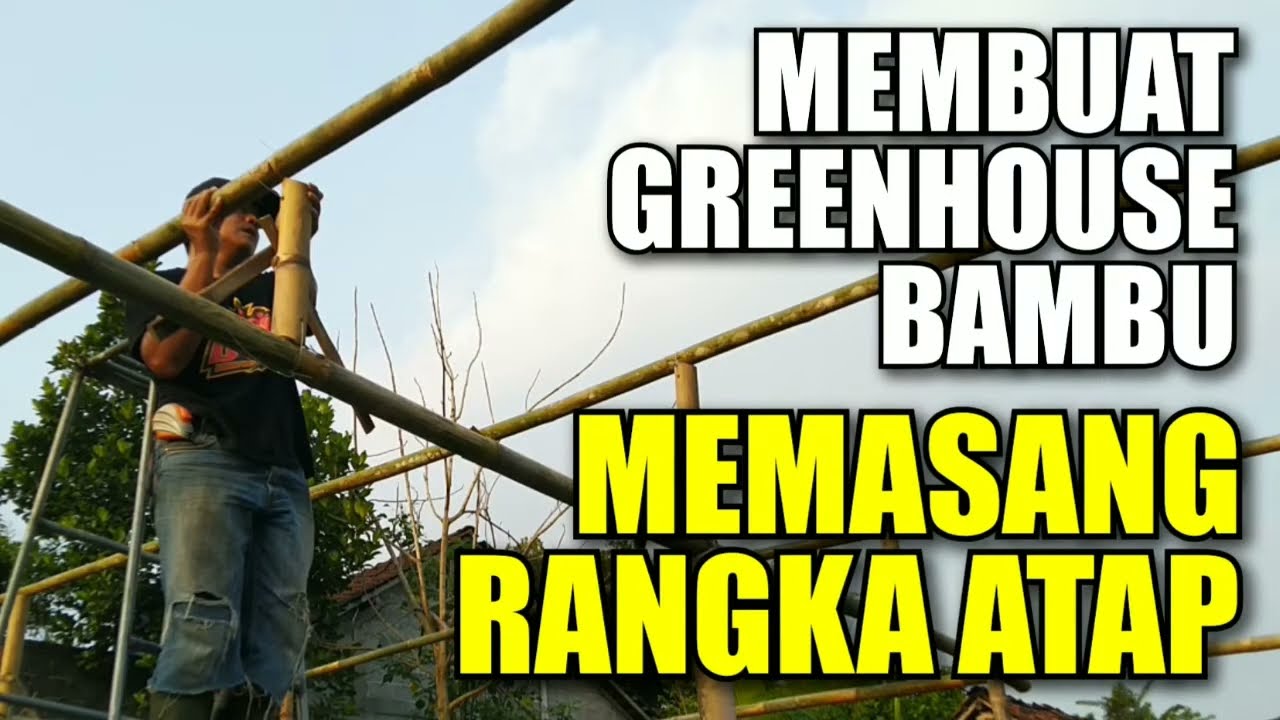 Membuat Greenhouse Bambu Part 4 - Memasang Rangka Atap