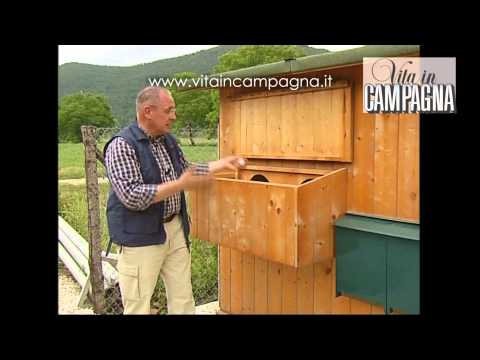 Video: Come fare i nidi per le galline ovaiole con le tue mani