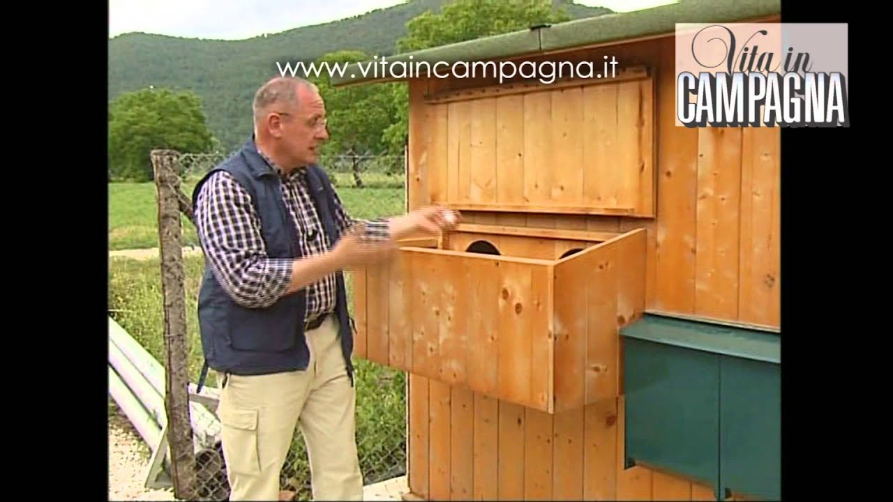 I nidi per le galline ovaiole youtube