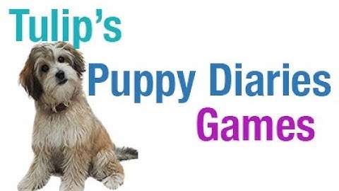 "Luring and Shaping" Puppy Diaries: L2