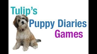 Luring and Shaping Puppy Diaries: L2