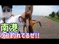 【南港】大阪市内から激近のタコ釣りポイント!!【シーサイドコスモ】~キャスティングオクトパッシング~