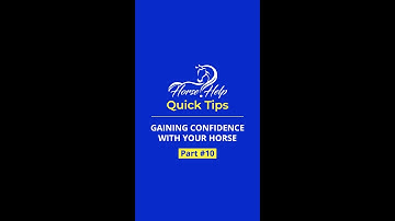 Quick Tips To Gain Confidence With Your Horse! Part 10 | The Horse Guru - Michael Gascon