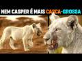 NEM CASPER SUPERA ISSO! Veja o filhote branco de Leão FERIDO que Desafia a Lógica!