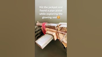 Probably going to mod it later☢️ #bethesda #collecting #fallout #pistol #pipe #art