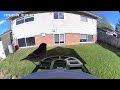 I found the bird stealing all our seeds!