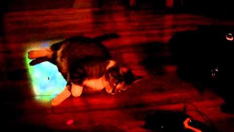 OWI535 + Arduino Laser Pointer Cat Toy