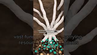 What Lives Inside a Cubic Foot of Soil #ScienceFacts #Nature #Biology #MindBlowing #JAYReveals