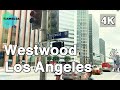 【4K】🇺🇸🌴Walking around the neighborhood of UCLA, Westwood (Westwood Blvd) in Los Angeles🎧, California