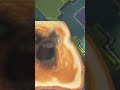 Control the Weather in This Brawl Stars-like Game! #shorts