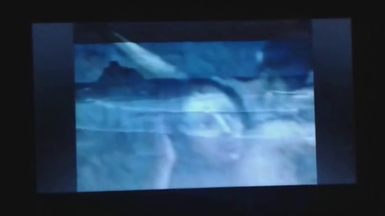 Cocteau Twins Musette and Drums YouTube