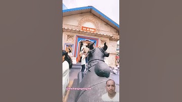 Mhadev Status ❣️ Kedarnath Status 🔱 Bholenath Status Video 💫 #shorts​