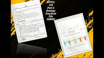 IGNOU Practical File BZYCL 136 Part 3 Zoology Protein and Carbohydrates