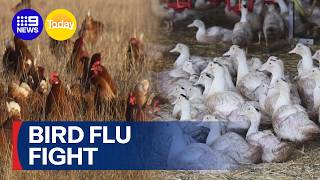 Health Authorities Preparing To Halt Bird Flu Spread After Cases Reach Mainland 9 News Australia