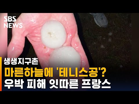 테니스공 크기 초대형 우박에 <strong>프랑스서</strong> 피해 잇따라 / SBS / 생생지구촌