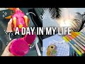 A Day In My Life🌷#adayinmylife #malayalam