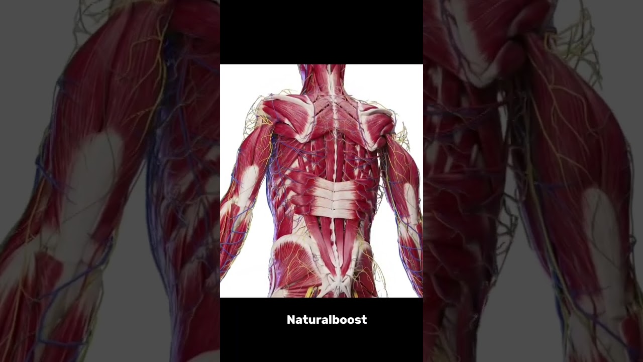 mix pineapple with banana 