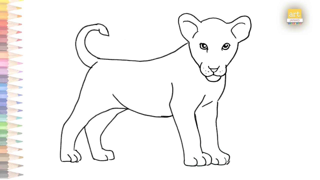 Baby Lion outline drawing | How to draw A Baby lion step by step ...