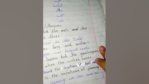 GRADE 3 English Unit 9 Question 3,4/The Message School Sialkot Afaq Syllabus