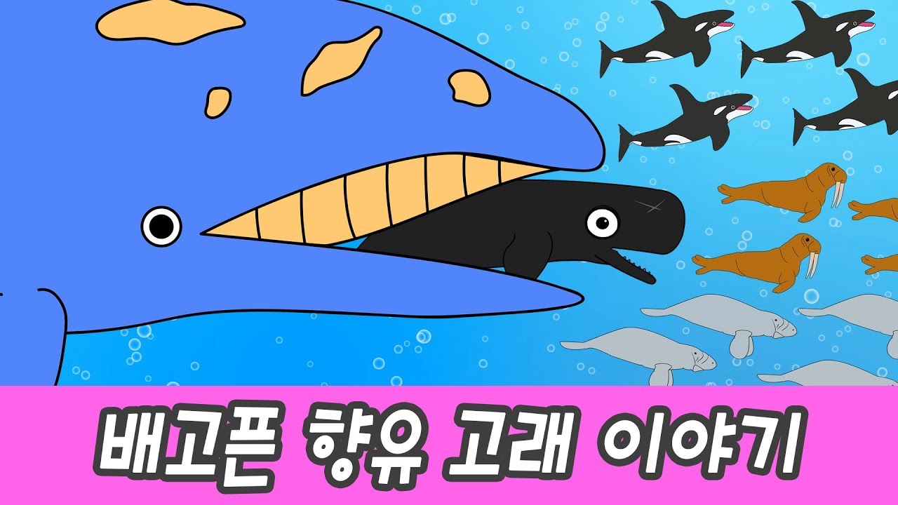 한국어ㅣ배고픈 향유고래 이야기, 어린이 동물 만화, 고래의 모험, 해양동물 이름 맞추기ㅣ꼬꼬스토이