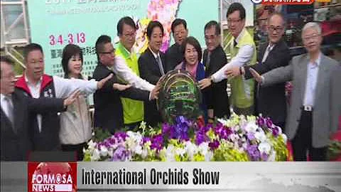 International Orchids Show - DayDayNews