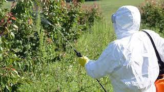 Celebrity The chemicals sprayed on your fruit and veg is worrying Net Worth