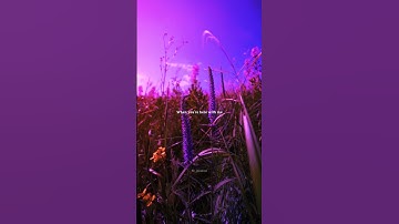 Thumbnail of Moonlight - Kali Uchis