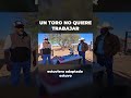 UN TORO NO QUIERE TRABAJAR #rancho #toros #ganado #campo