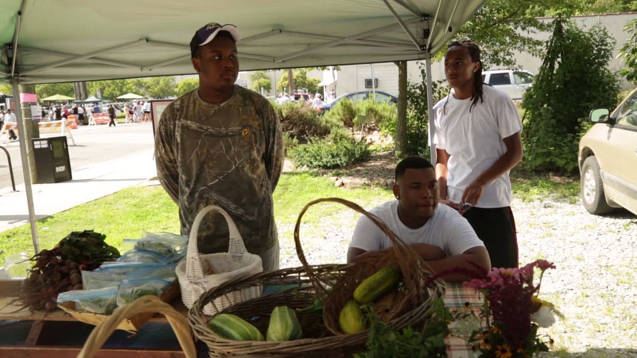student film definition SEEDS: The Documentary