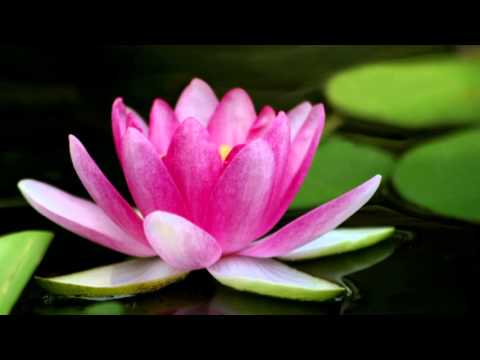 Daimoku - Nam myoho renge kyo - 15 minutes 