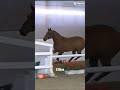 Loose Jumping