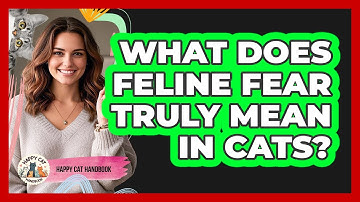 What Does Feline Fear Truly Mean In Cats? - Happy Cat Handbook