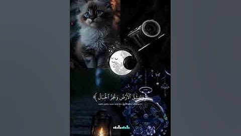 {أَفَرَأَيْتَ الَّذِي كَفَرَ بِآيَاتِنَا وَقَالَ لَأُوتَيَنَّ مَالًا وَوَلَدًا}القارئ عبدالرحمن مسعد