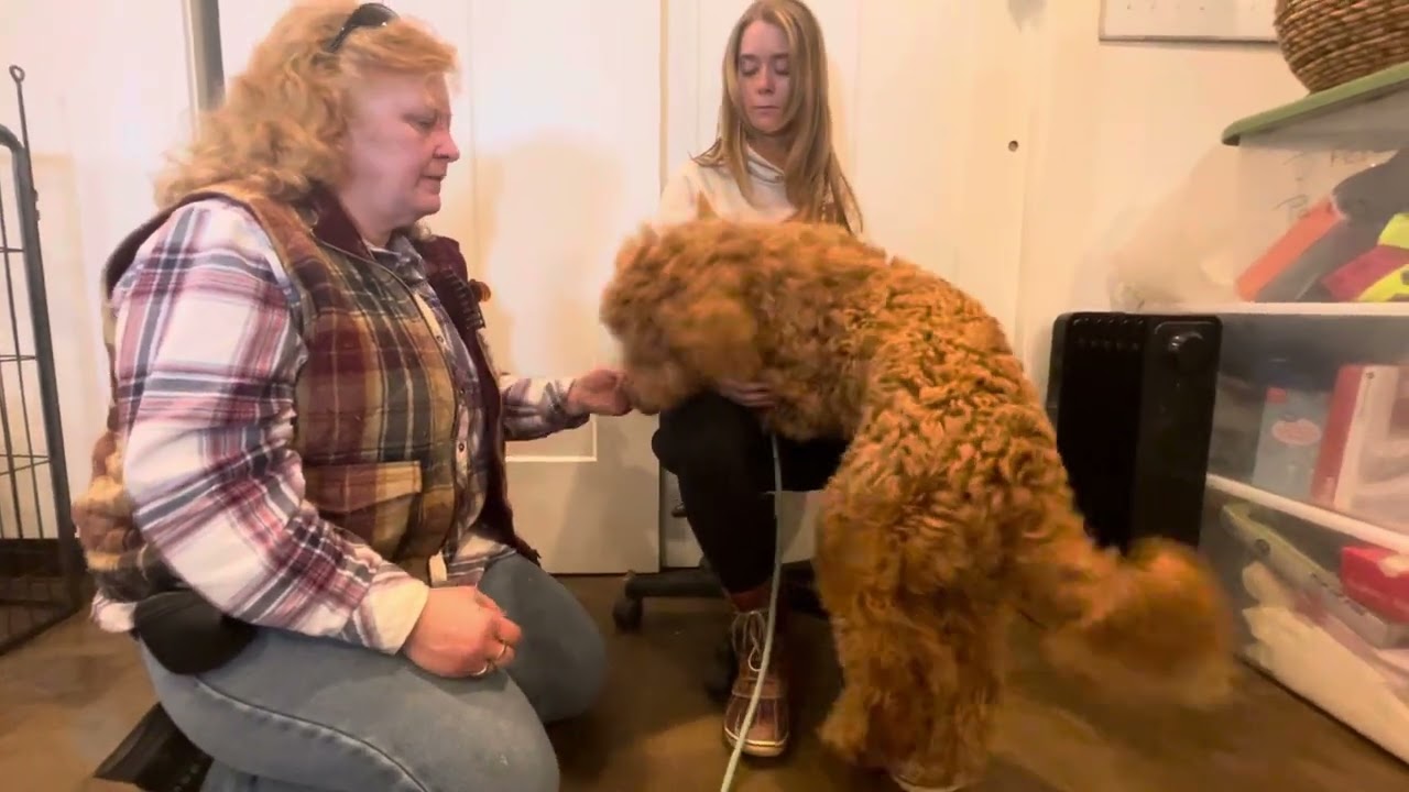 Hudsons First Introduction to his “Hug” Command 2.26.25