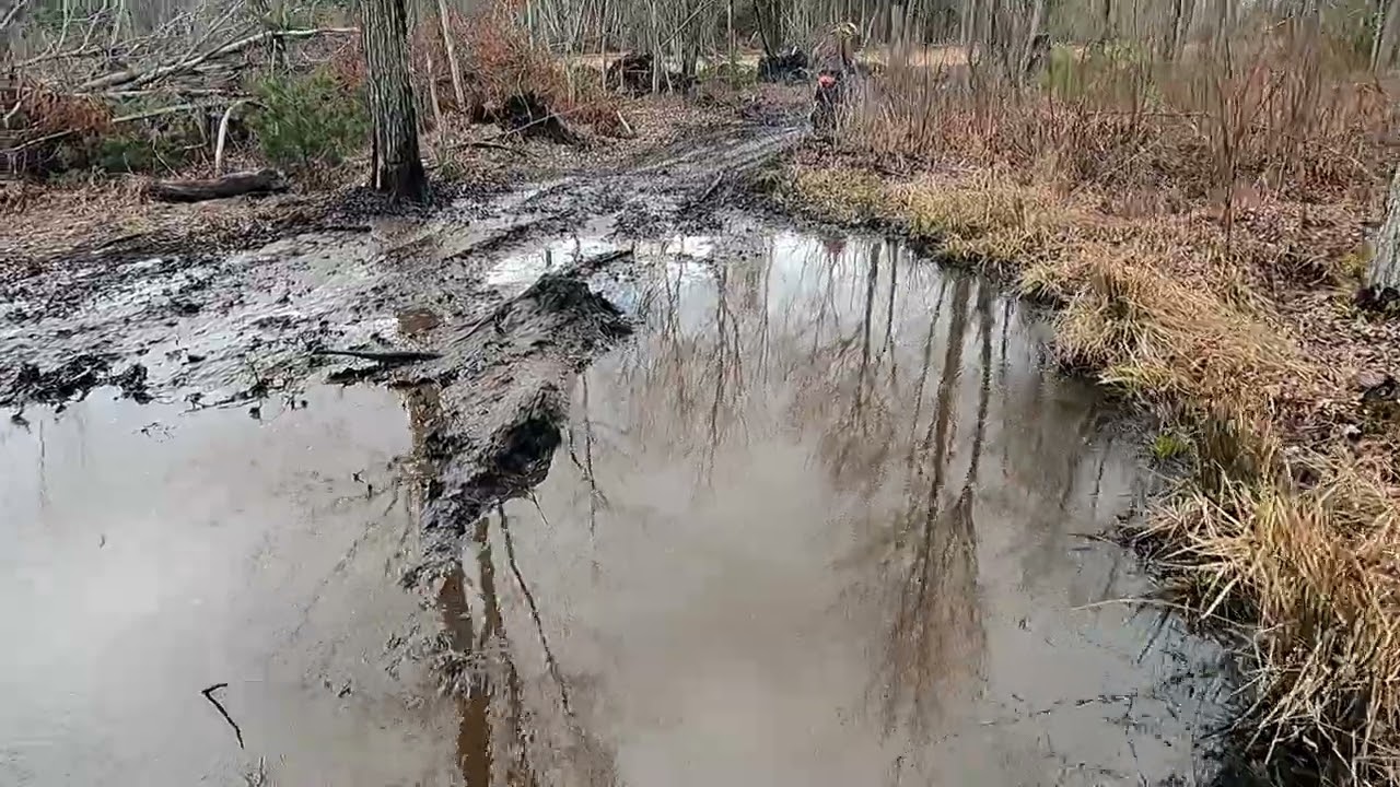 spring sling 2024 quick edit